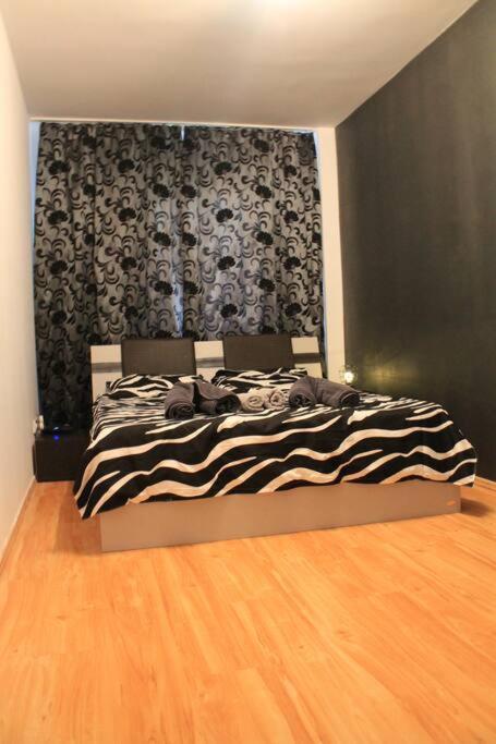 Yua'Shomes-Bussiness And Travel Apartment Cluj Napoca Bagian luar foto